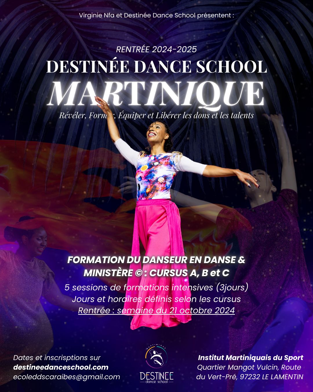 DDS Martinique Formations.jpeg (259 KB)