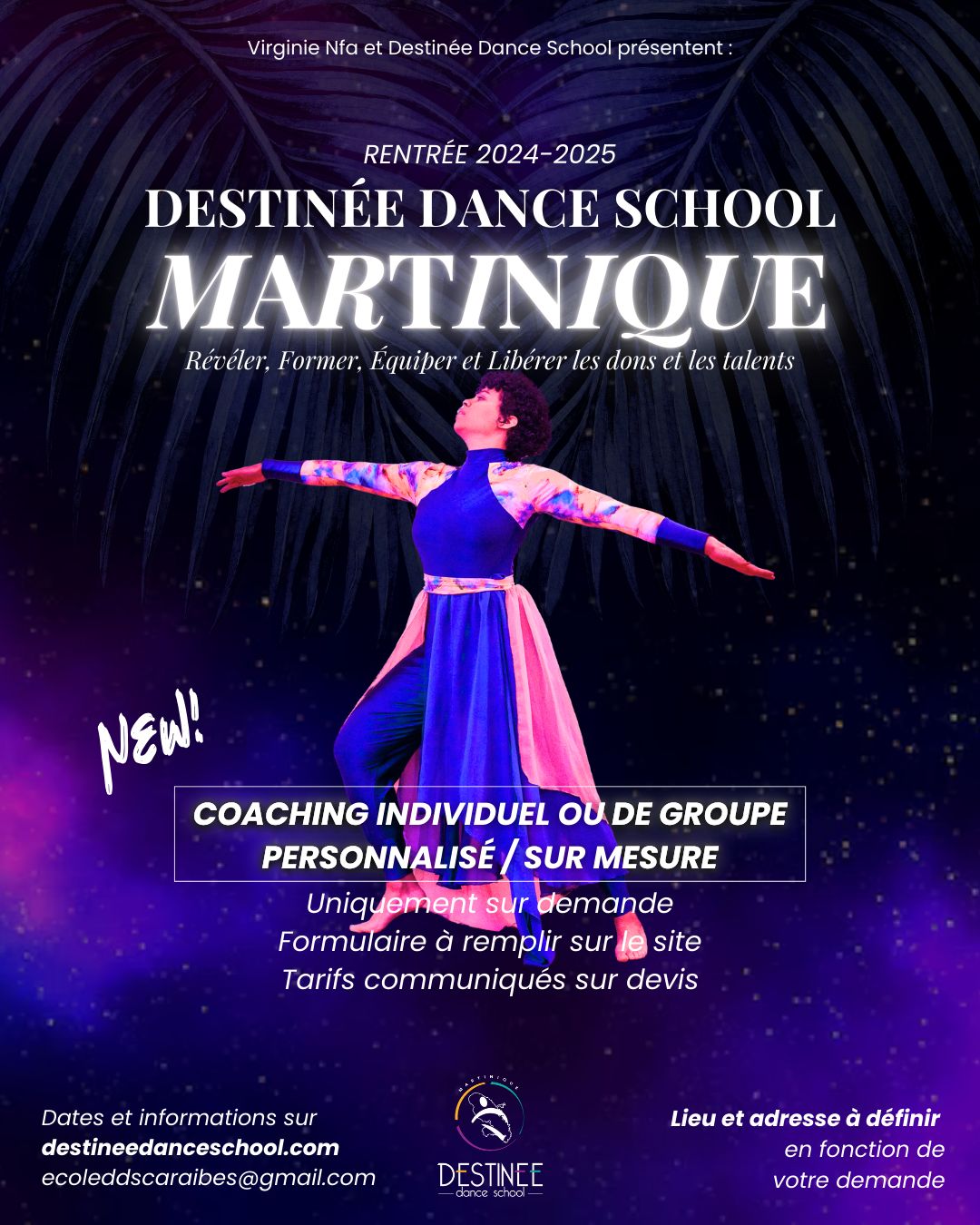 DDS Martinique.jpeg (232 KB)